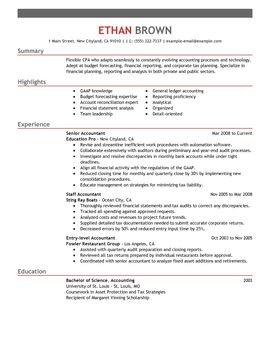 Impactful Professional Accounting Resume Examples ...