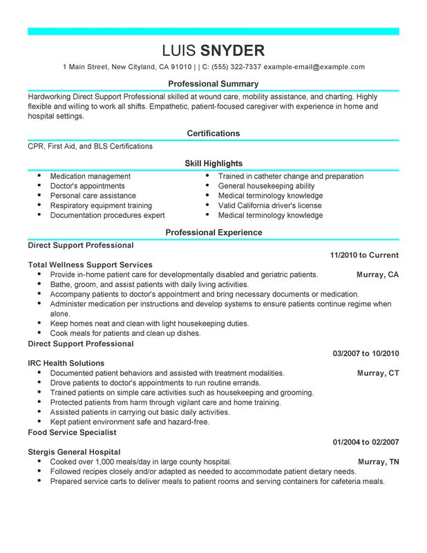 Direct Support Professional Resume Examples – Free to Try 