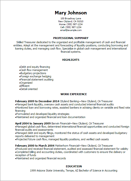 Non Profit Treasurer Report Template from www.myperfectresume.com