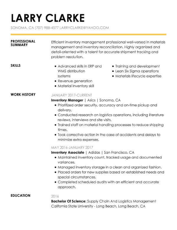 Customize Any These Free Professional Resume Examples