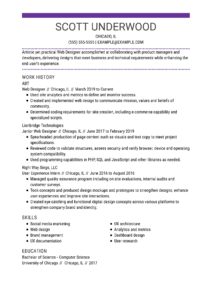 Chronological Web Designer Resume