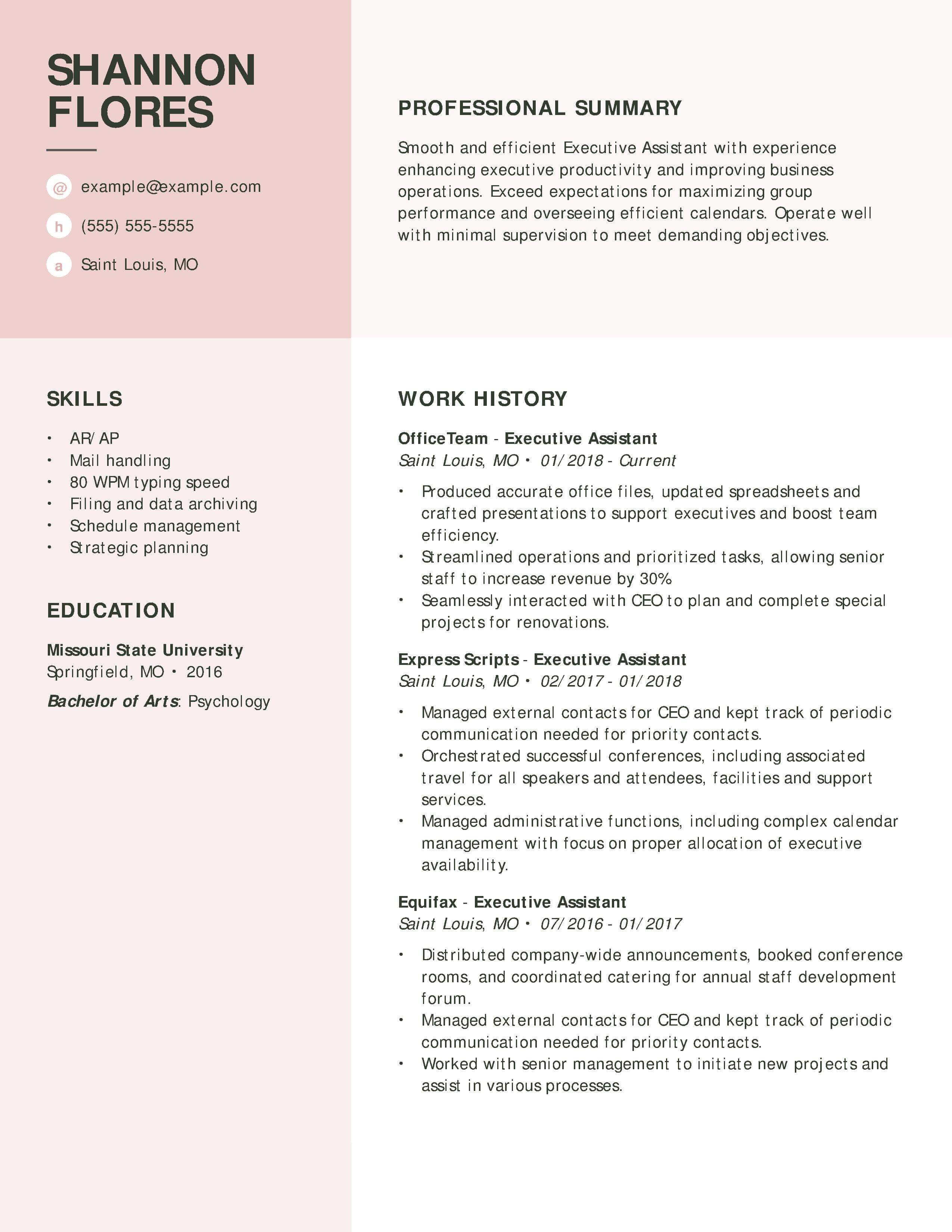 perfect professional resume format