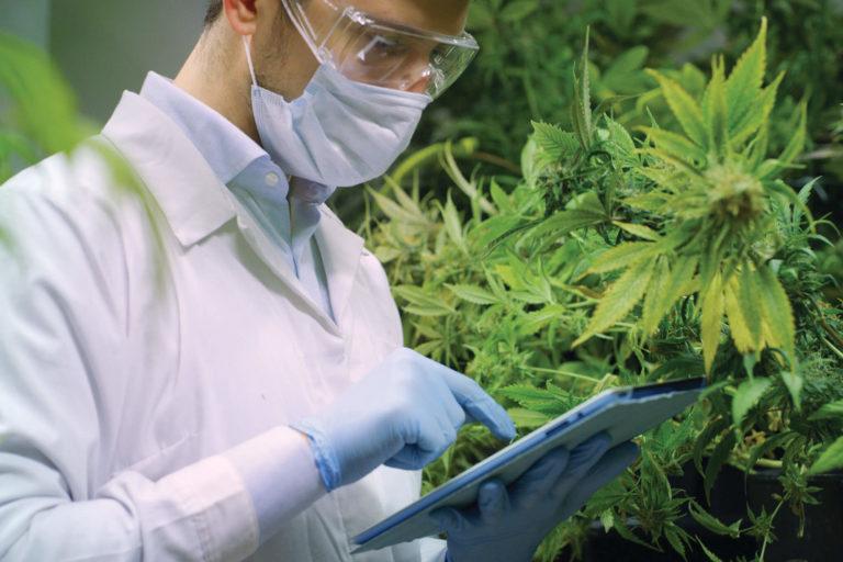 How to Position a Past Cannabis Industry Job in Your Cover Letter