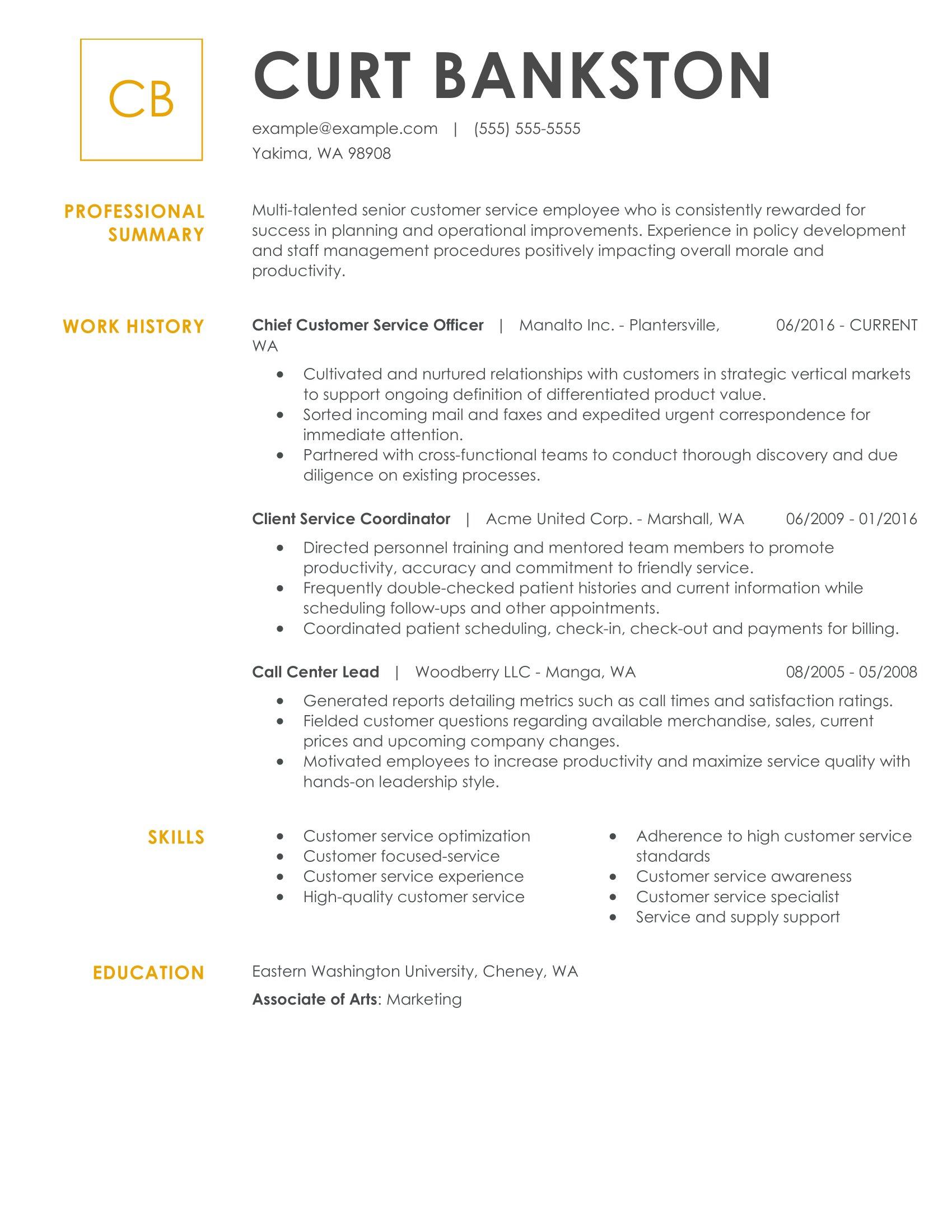 summary resume examples customer service