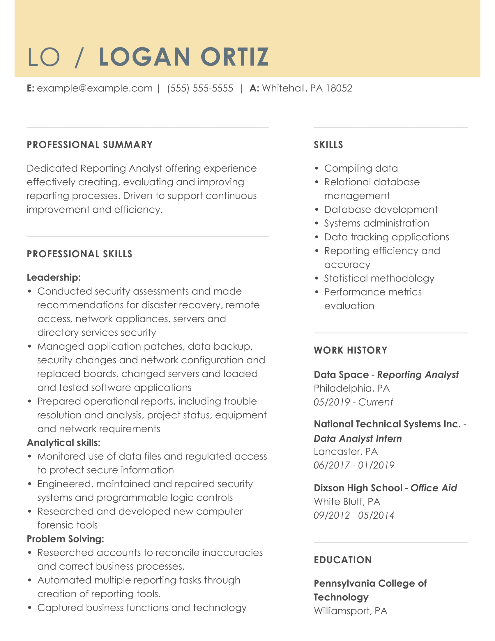 report analyst resume sample