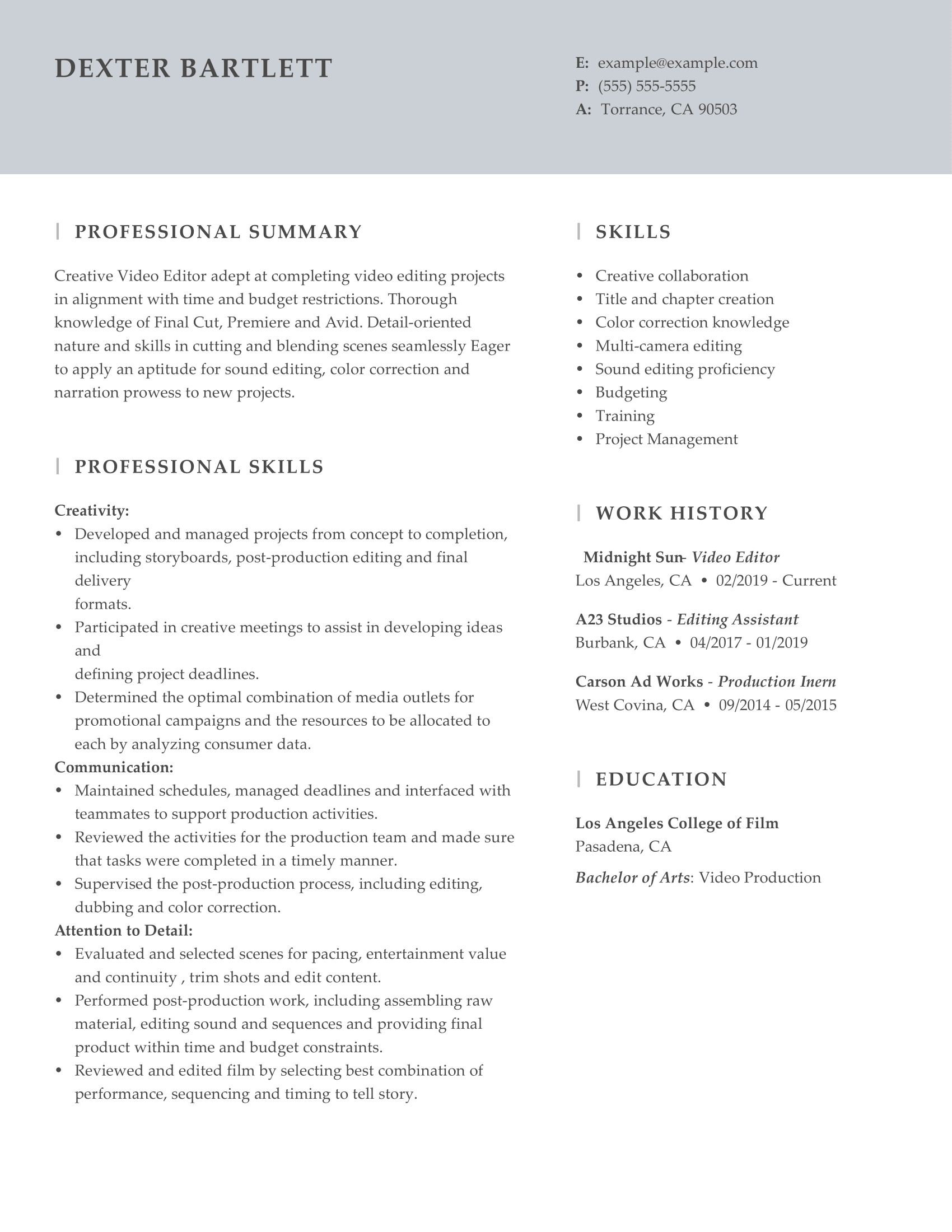 video editor resume format download