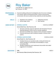 Best Internal Auditor Resume Example