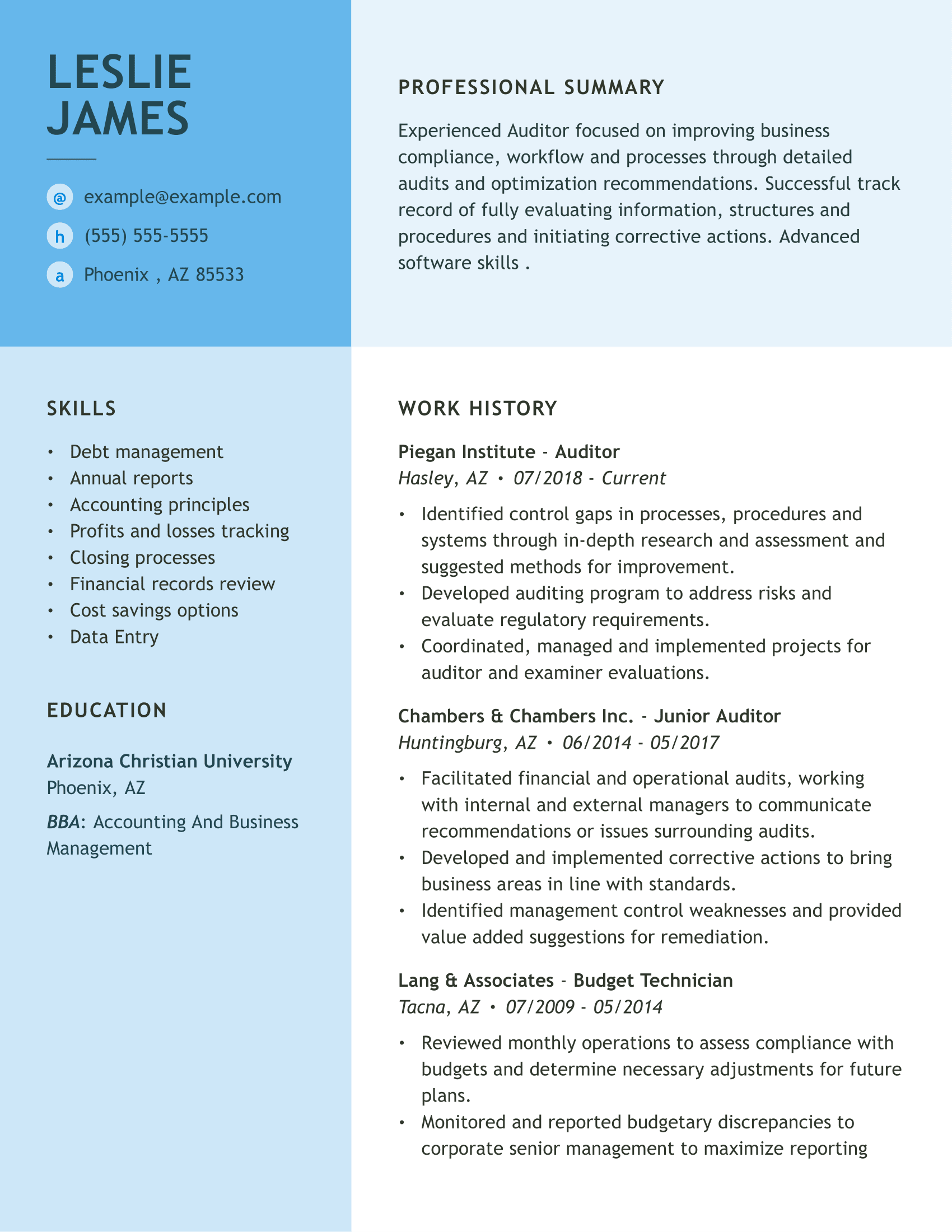 audit job description for resume