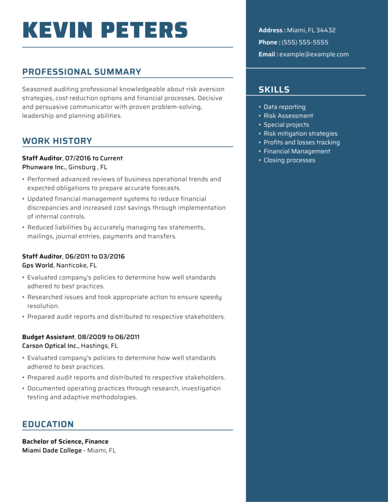 Income Auditor Sample Resume