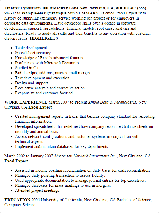 excel professional resume sample