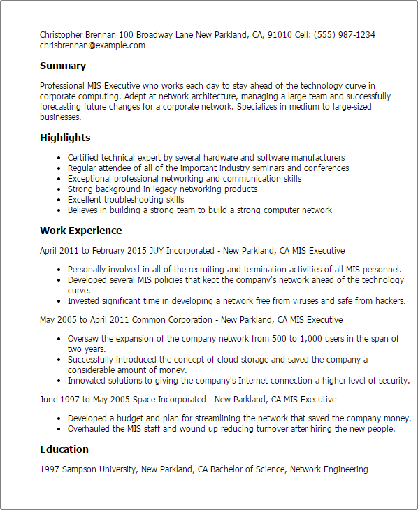 mis executive resume example