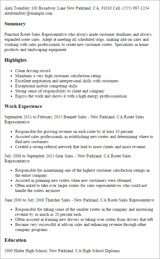 route sales representative resume example