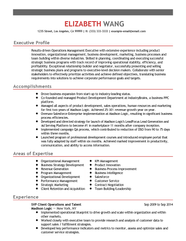 Senior Vice President Client Operations Resume Example