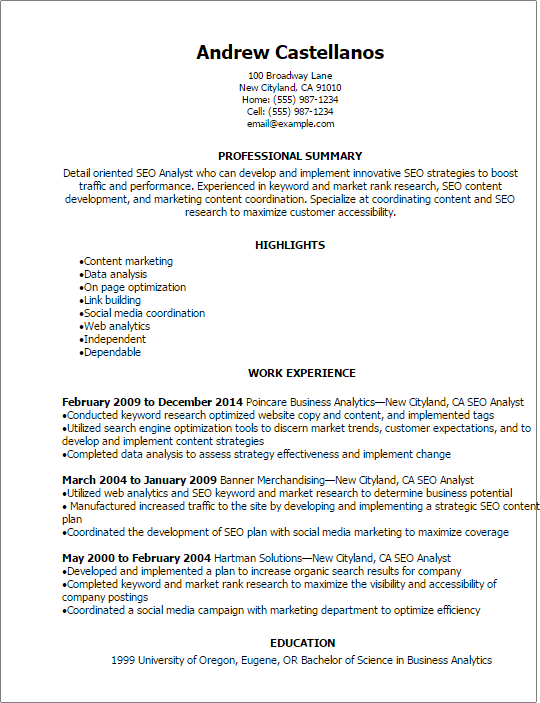 Seo Analyst Resume Example