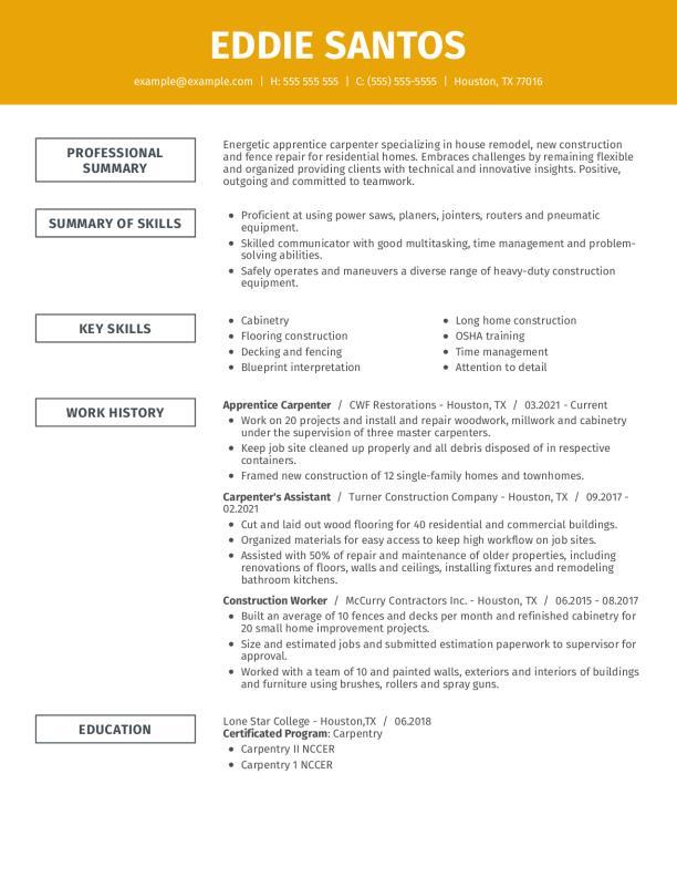 Apprentice Carpenter Resume Example