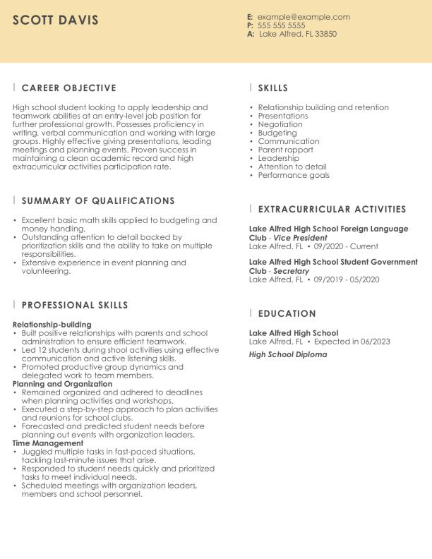 High School Student Resume Essence