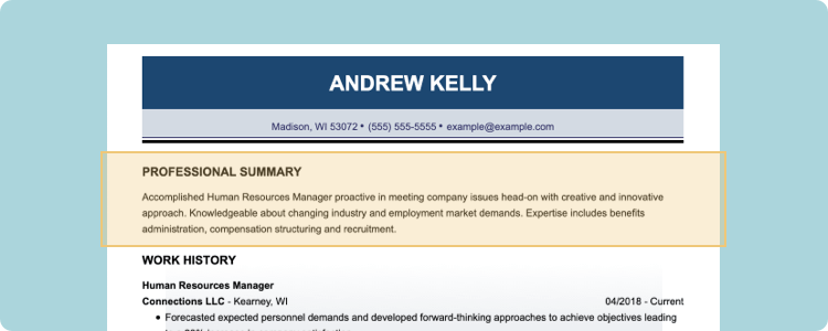how to make a good resume for a job Resume Summary Objective