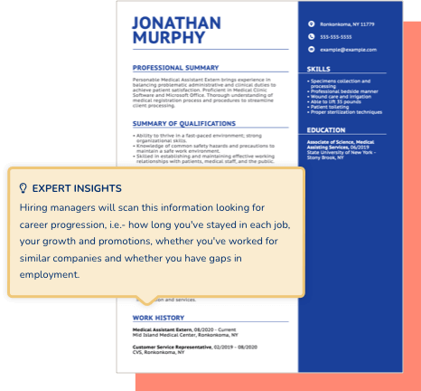 Expert Resume