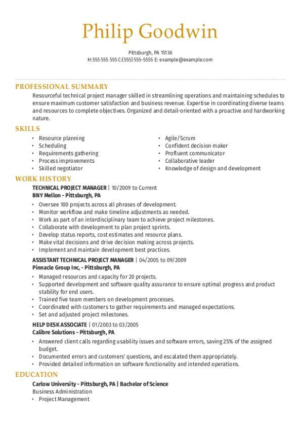 Technical Project Manager Resume Template