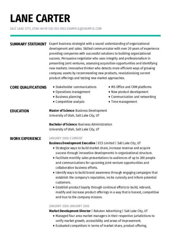 Bussiness Development Executive CV Template