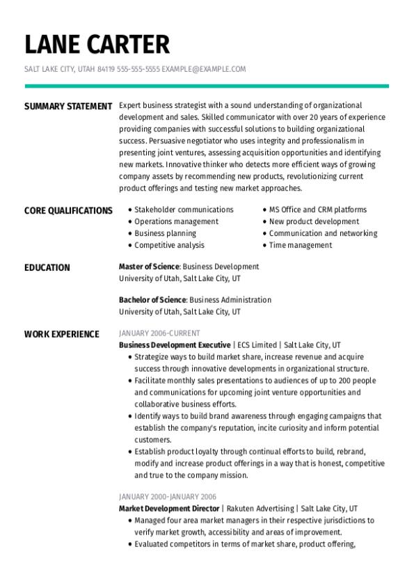 Bussiness Development Executive CV Template