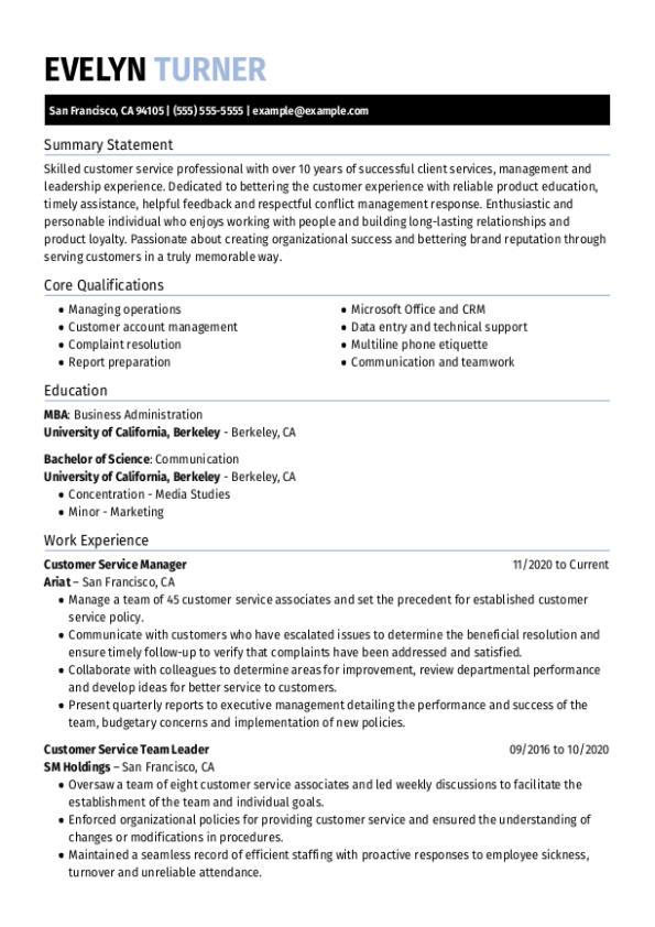 Customer Service Executive CV Template