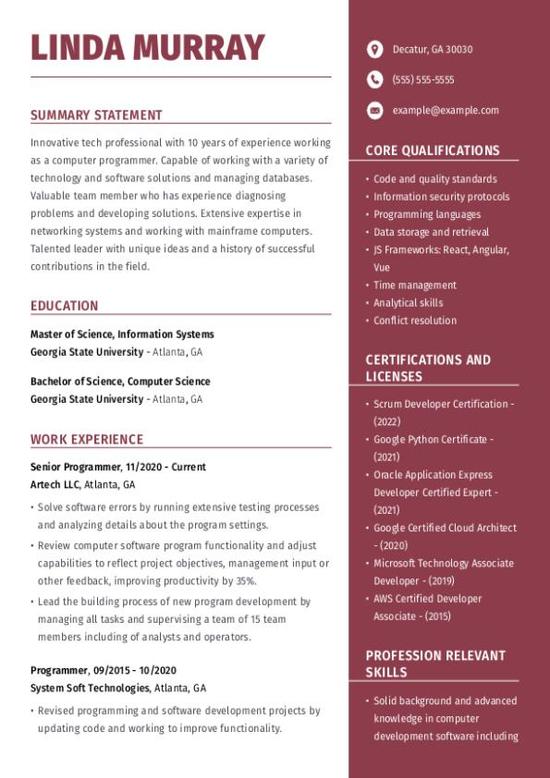 Programmer CV Template