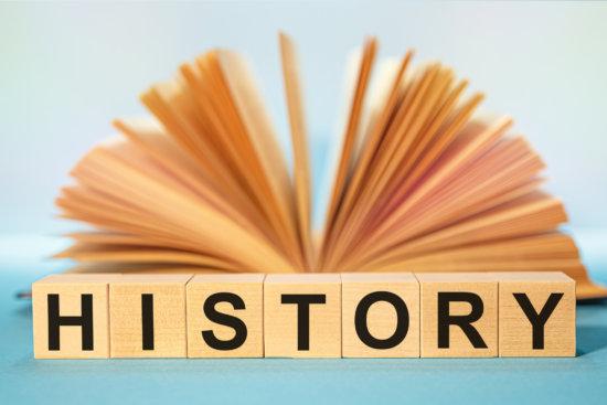 Work History Section