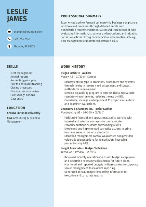 Auditor Resume Template