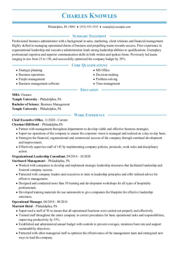 Chief Executive Officer CV Template
