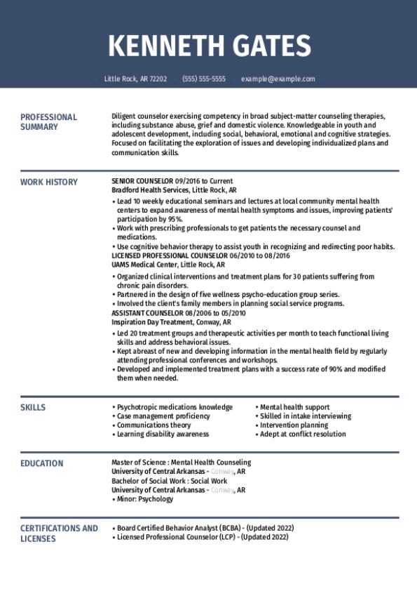 Top Counselor Resume Example + Howto Guide & Tips