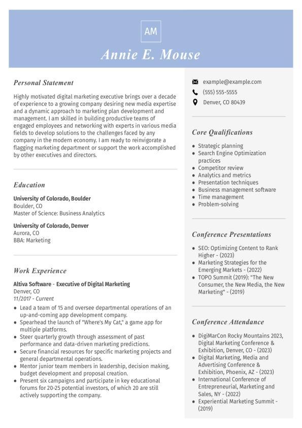 Digital Marketing Executive CV Template