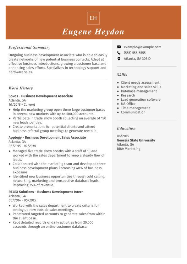Business Development Associate Resume Template