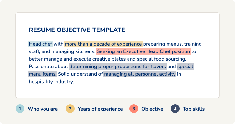 Resume Objective Template