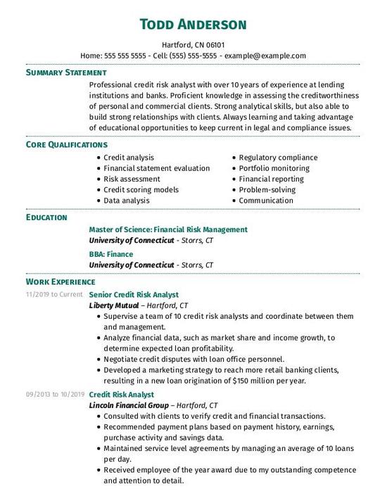Financial Credit Risk Analyst CV Template