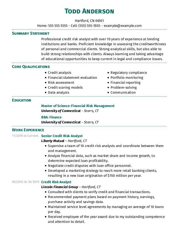 Financial Credit Risk Analyst CV Template