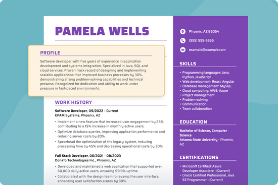 Resume Profile Example