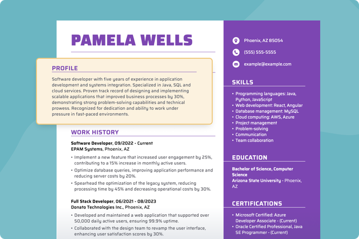 Resume Profile Example
