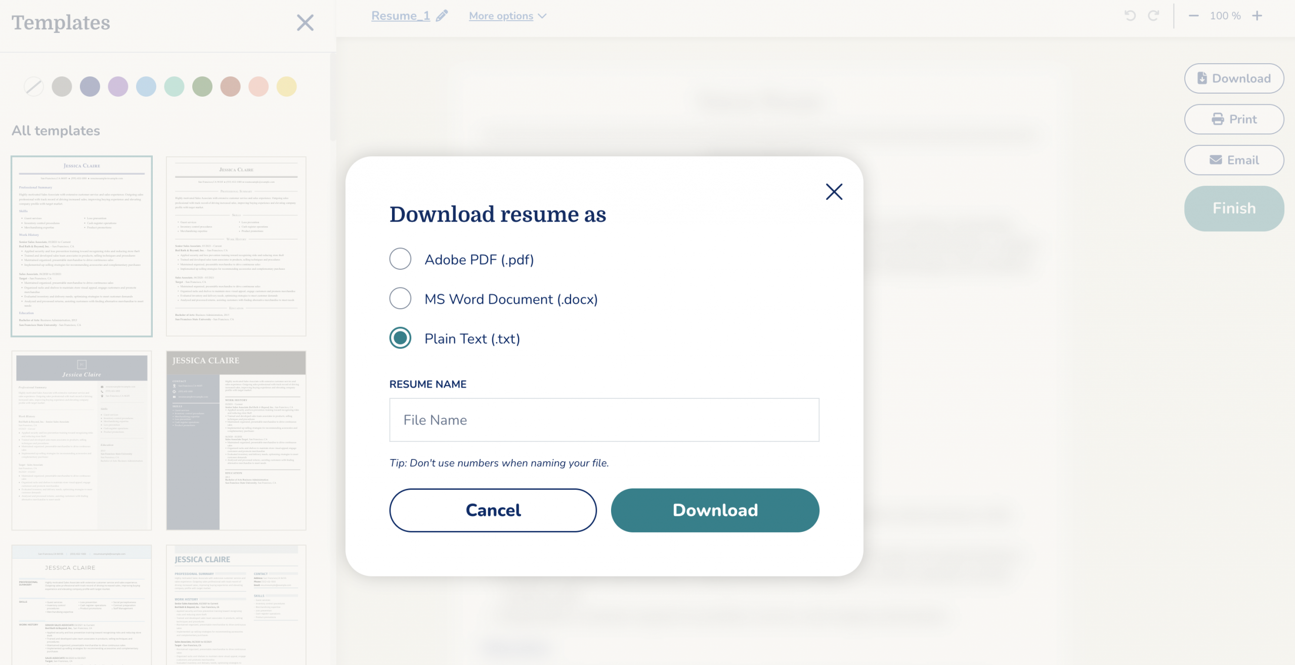 MyPerfectResume Resume Builder download options