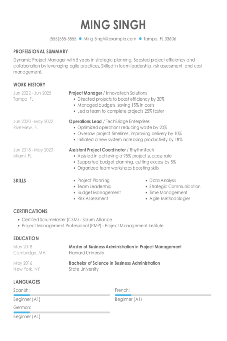 Project Manager