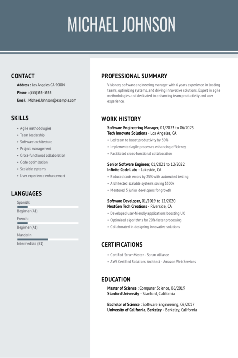 Software Engineering Manager