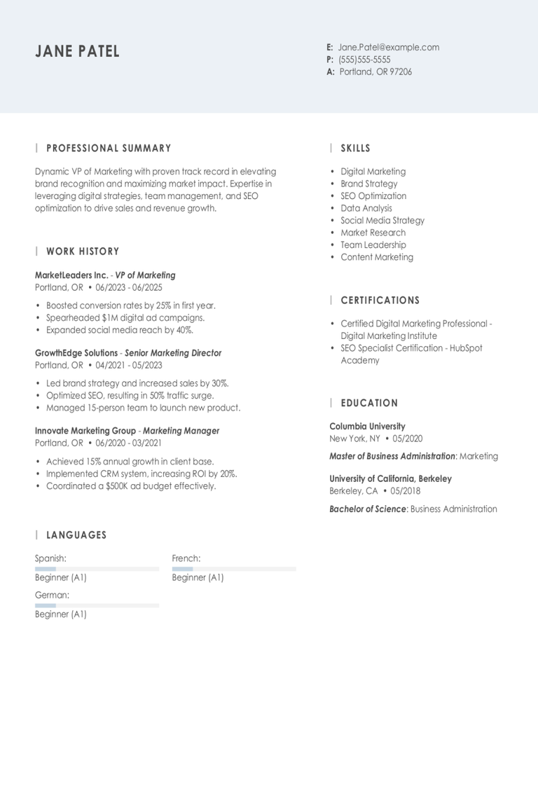 Vp Of Marketing