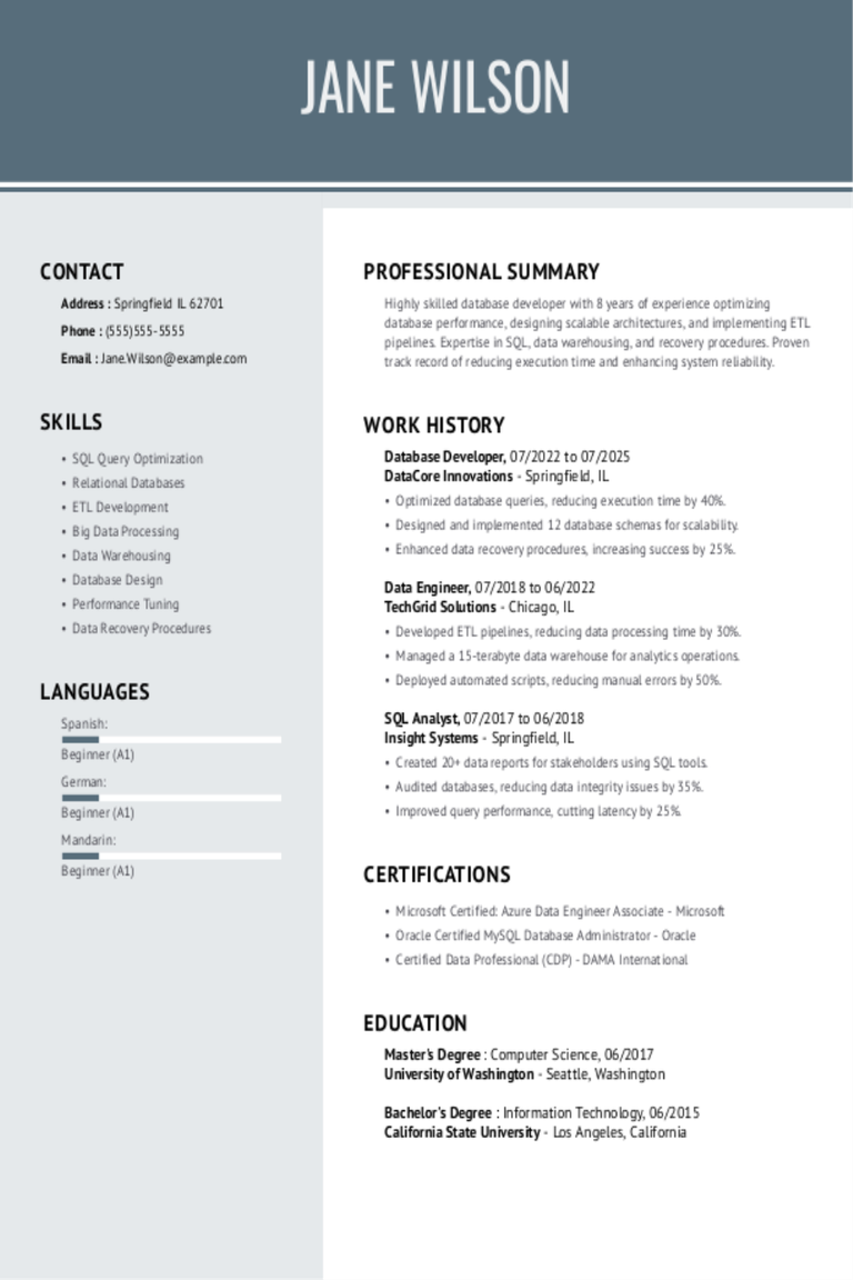 Database Developer