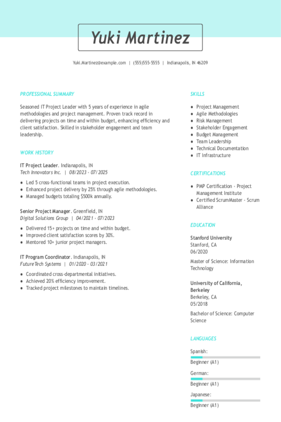 IT Project Leader Resume Examples & Writing Guide