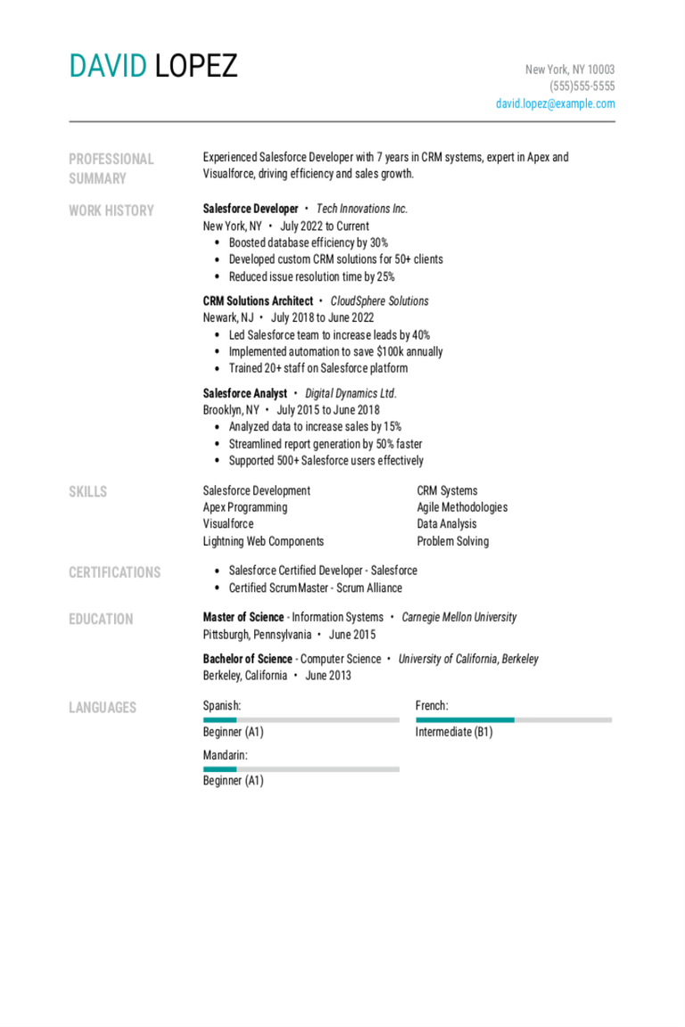 Salesforce Developer