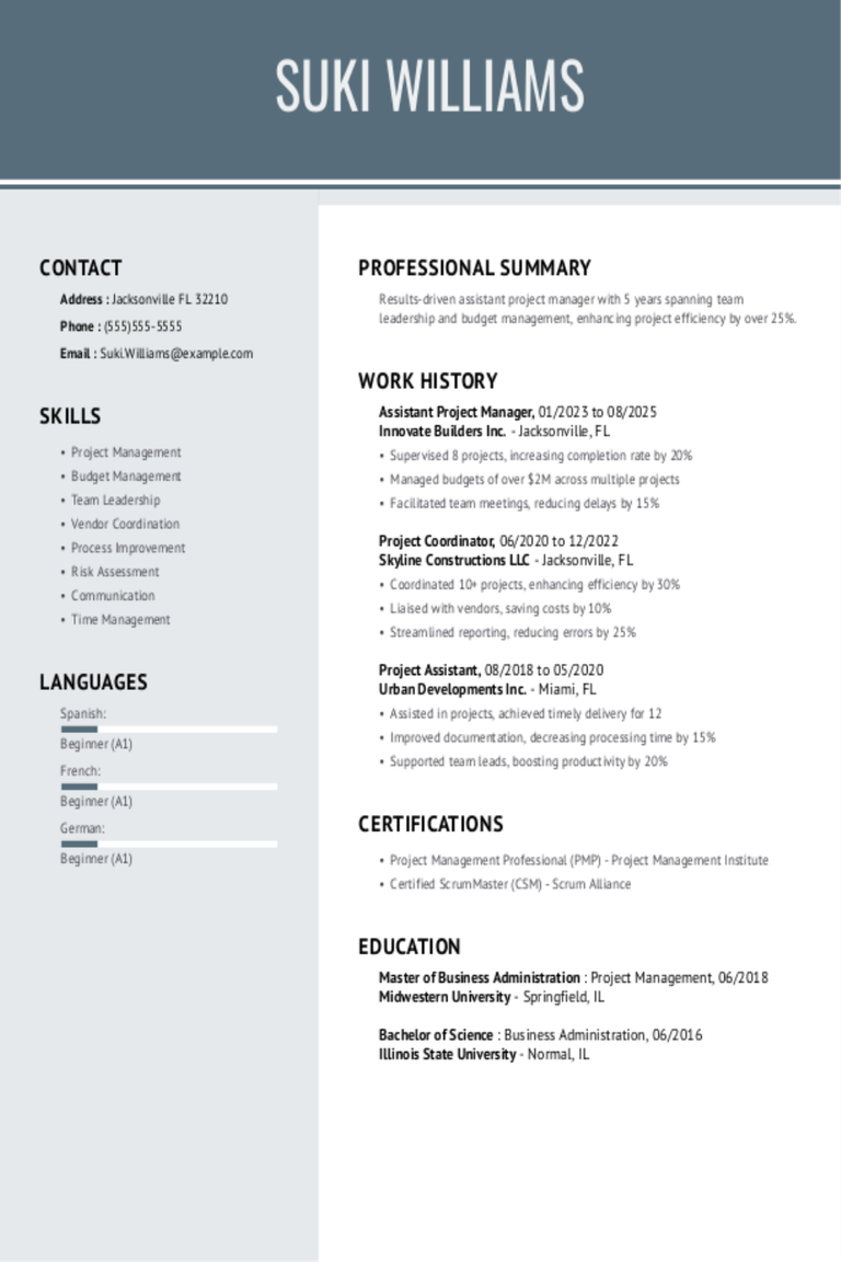 Assistant Project Manager