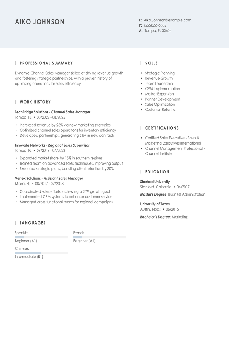 Channel Sales Manager