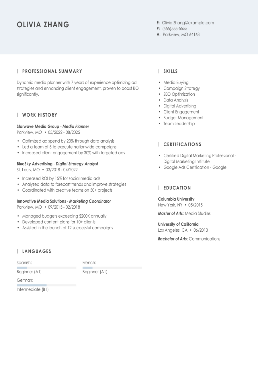 Media Planner Resume Examples & Templates