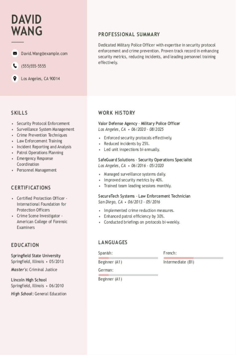 Military Police Officer