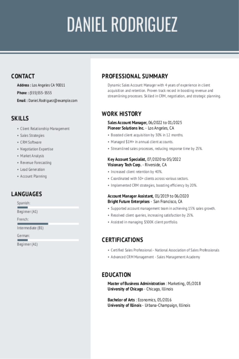 Sales Account Manager